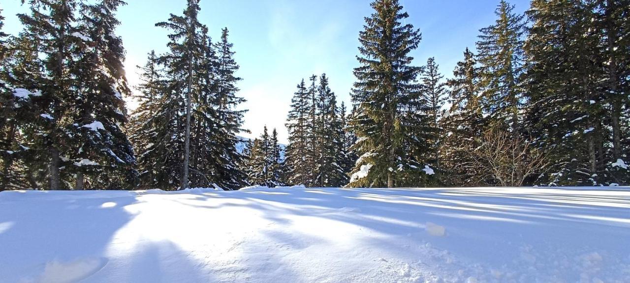 Bel Appart Pour 4/6 Pers Plein Sud Sans Vis A Vis Chamrousse Luaran gambar